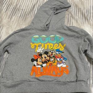 Disney Gray Hoodie with Colorful Characters